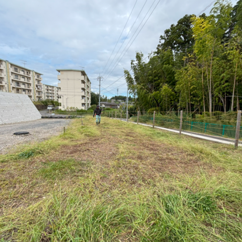除草作業後(日立地区 田尻ヶ丘病院移設予定地 東側道路周辺)